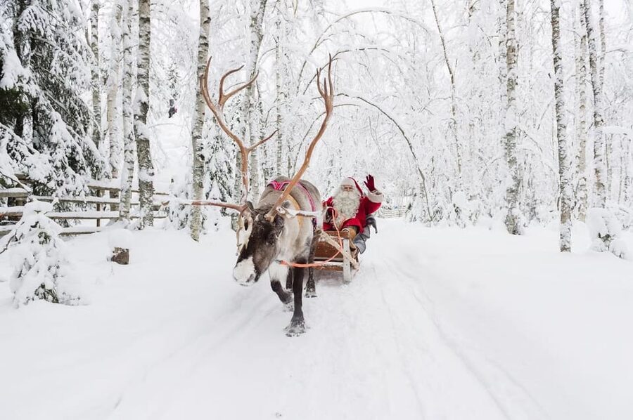 Reindeer Farm Visit with Sleigh Ride - Snacks, hot drinks, and how the tour handles warmth
