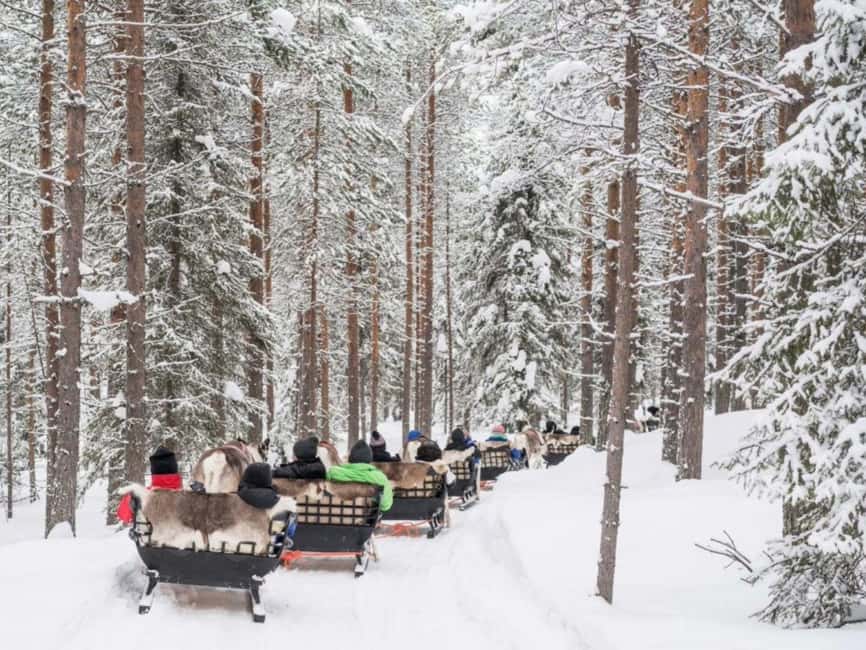 Reindeer Safari at a 200-Year-Old Farm & Long Sled Ride - Price and Value: Is $260 Worth It in Lapland?