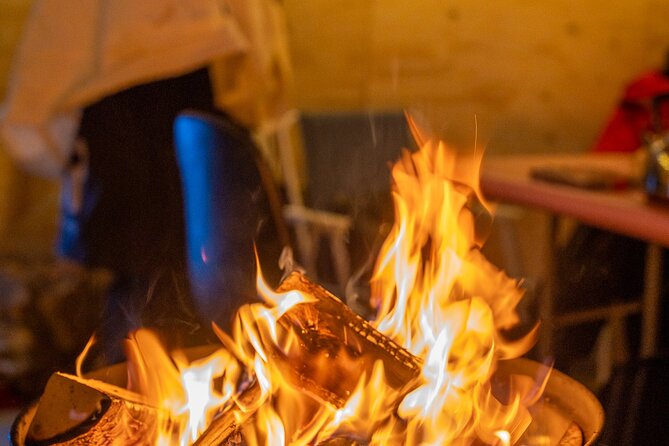 Reindeer Sledding, Feeding And Sami Culture At Reindeer Farm - Key points to know before you go