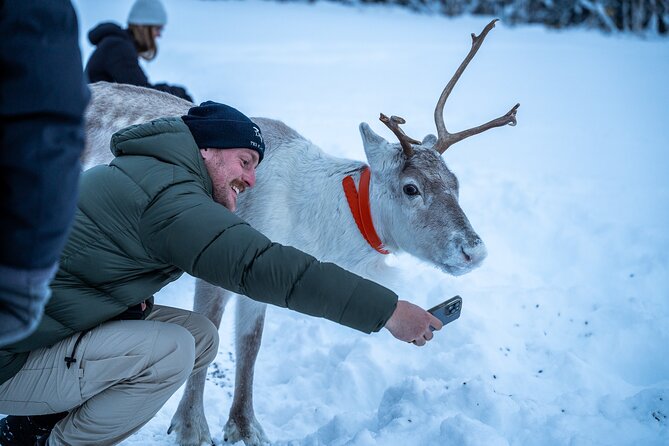 Reindeer Sledding, Feeding And Sami Culture At Reindeer Farm - Meeting the people: guides who make the day feel human