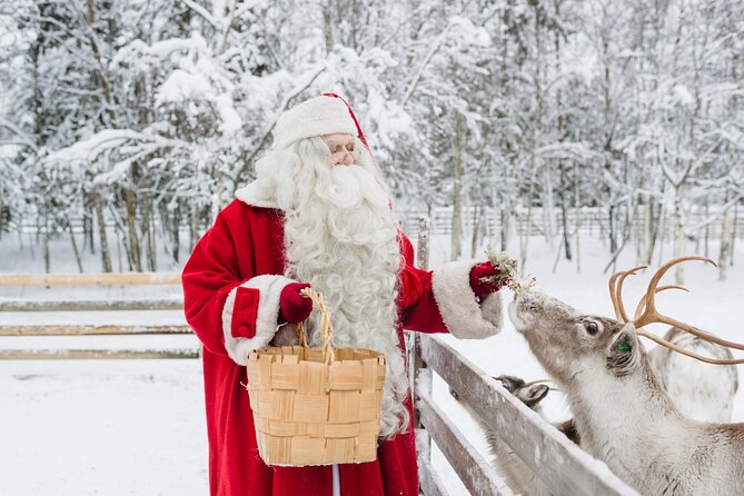 Reindeer Sleigh Ride and Farm Experience from Rovaniemi - Key highlights at a glance