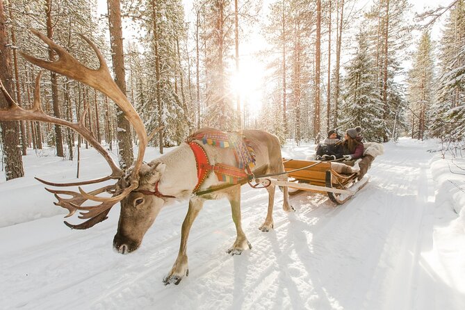 Reindeer Sleigh Ride and Farm Experience from Rovaniemi - Guided commentary: asking better questions makes it feel deeper