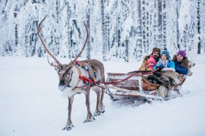 Reindeer Sleigh Ride and Farm Experience from Rovaniemi - Sleigh ride expectations: slow reindeer, short loop, cold-air payoff