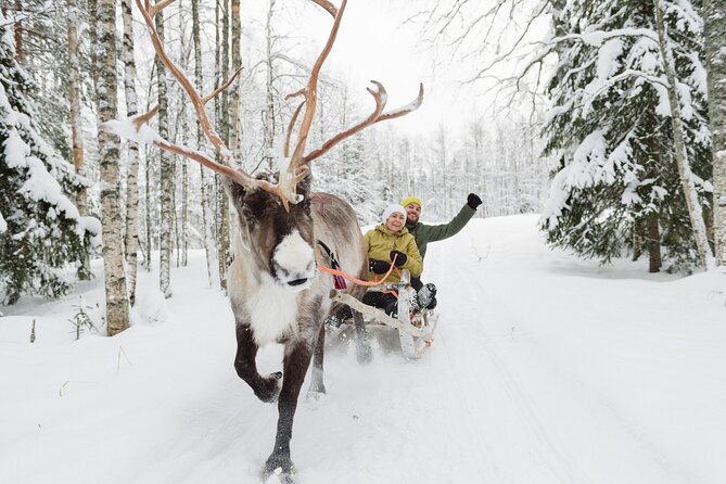 Reindeer Sleigh Ride and Farm Experience from Rovaniemi - Warm-up stops: ginger cookies and hot blueberry juice/tea