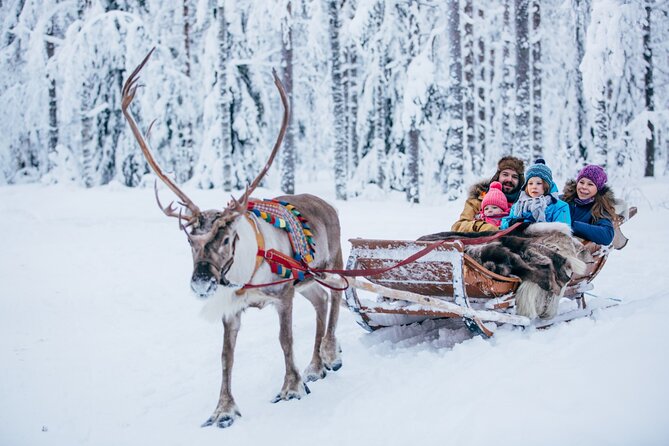 Reindeer Sleigh Ride and Farm Experience from Rovaniemi - Sleigh ride expectations: slow reindeer, short loop, cold-air payoff