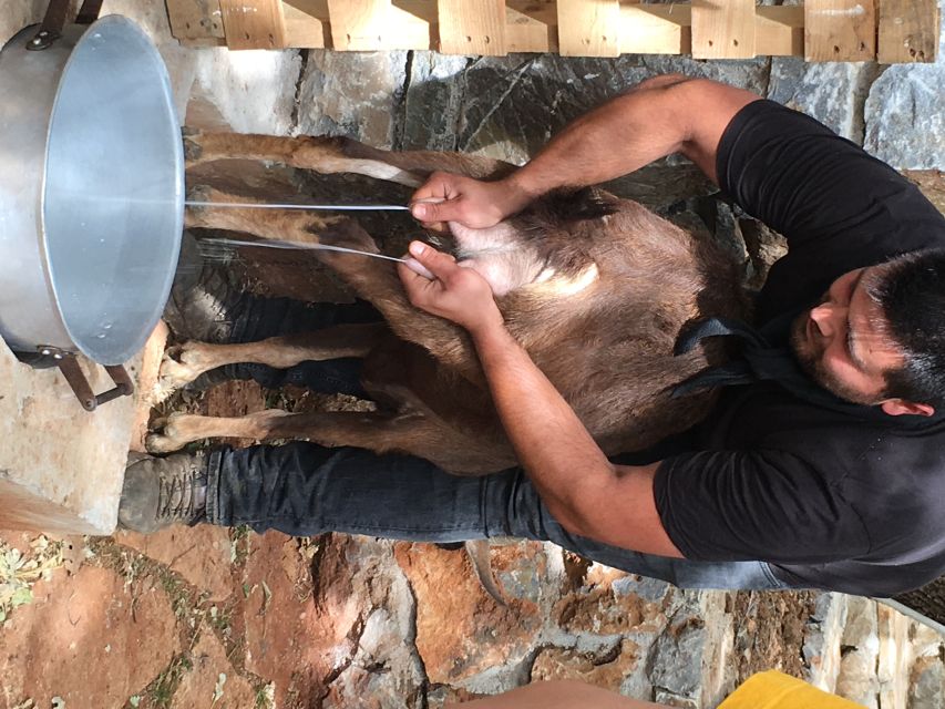 Rethymno 4x4 Safari: Tastes & Farm Experience - Entering the Mountains From Rethymno: The Day’s Real Tempo