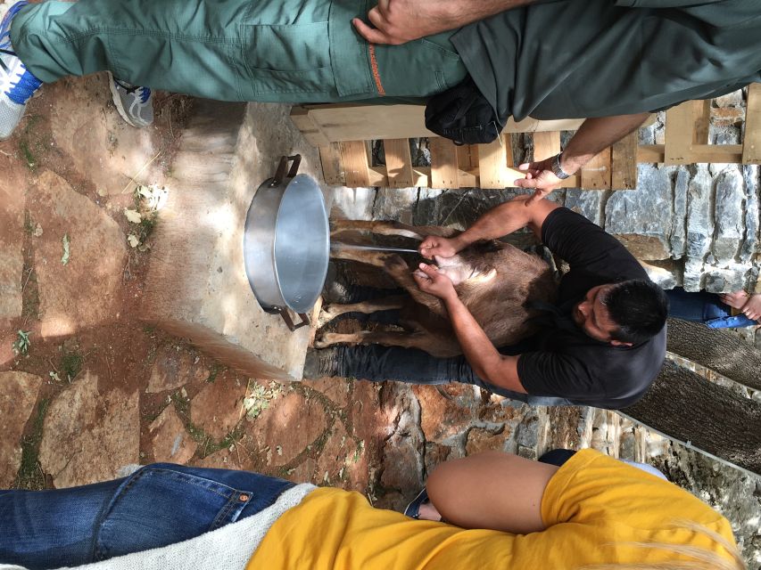 Rethymno 4x4 Safari: Tastes & Farm Experience - Klados Winery in Panormos: More Than a Quick Pour