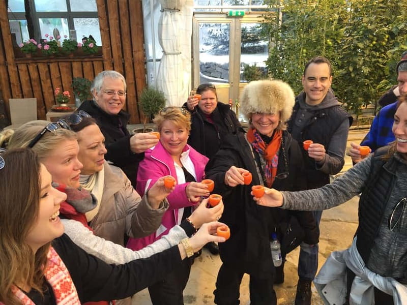 Reykjavik: Golden Circle, Farm & Sky Lagoon Small-Group Tour - The Key Stops That Make This Tour Worth the Time