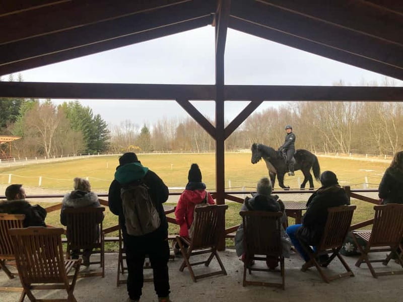 Reykjavik: Golden Circle, Farm & Sky Lagoon Small-Group Tour - Sky Lagoon Pure Pass: The 7-Step Ritual and Why It’s a Great Finish
