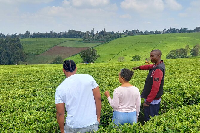 Riara tea farm tour with lunch and tea tasting from Nairobi - Key things that make this tour worth your time