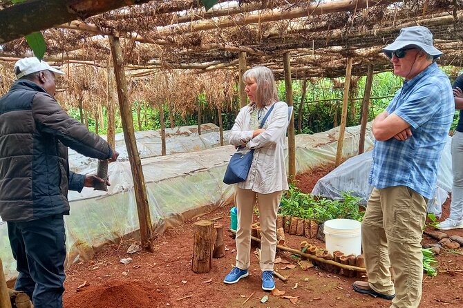 Riara tea farm tour with lunch and tea tasting from Nairobi - Nairobi pickup to Limuru Highlands: a structured tea day