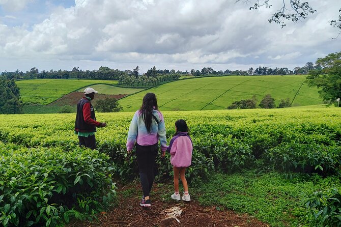 Riara tea farm tour with lunch and tea tasting from Nairobi - Price and value: why $150 can make sense