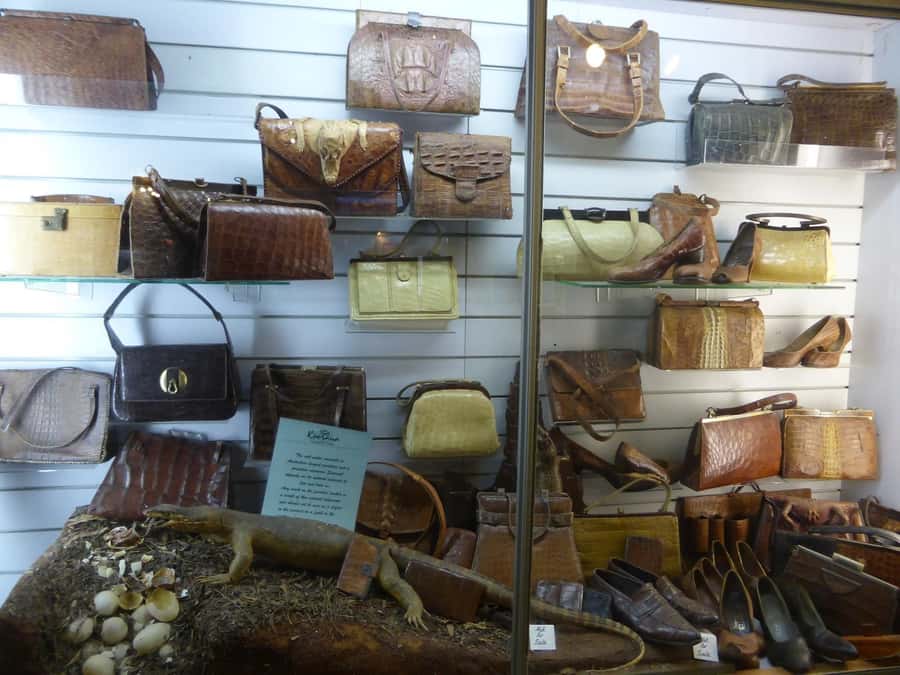 Rockhampton: Koorana Crocodile Farm Guided Tour - Quick hits before you go