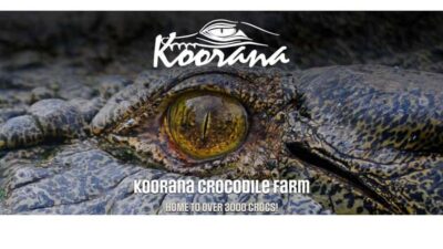 Rockhampton: Koorana Crocodile Farm Guided Tour - Starting the tour: conservation and commercial crocodiles explained