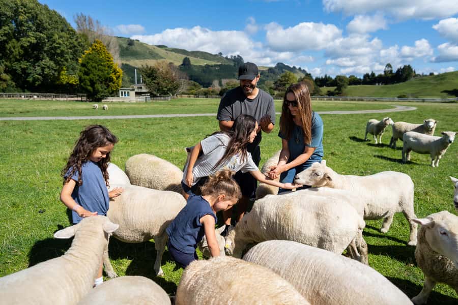 Rotorua: Authentic Kiwi Farm Experience at the Agrodome - Who should book this Agrodome experience?