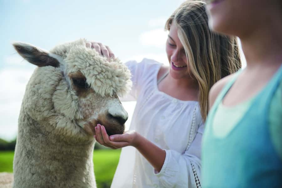 Rotorua: Authentic Kiwi Farm Experience at the Agrodome - Practical tips for your day: shoes, layers, and how to handle the farm mess