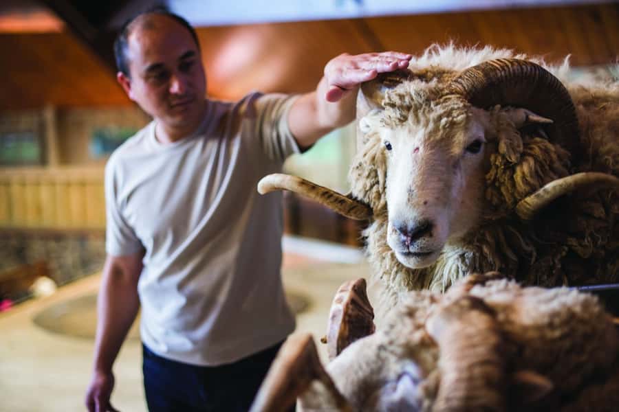 Rotorua: Authentic Kiwi Farm Experience at the Agrodome - Price and value: why $38 for 150 minutes often feels fair