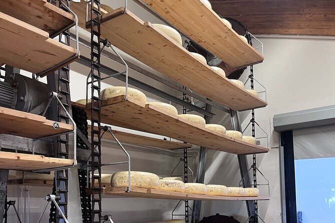 Rotterdam- Kinderdijk -Cheese Farm Experience min 4 max 100 PP - Private transport: why it often feels easier than DIY