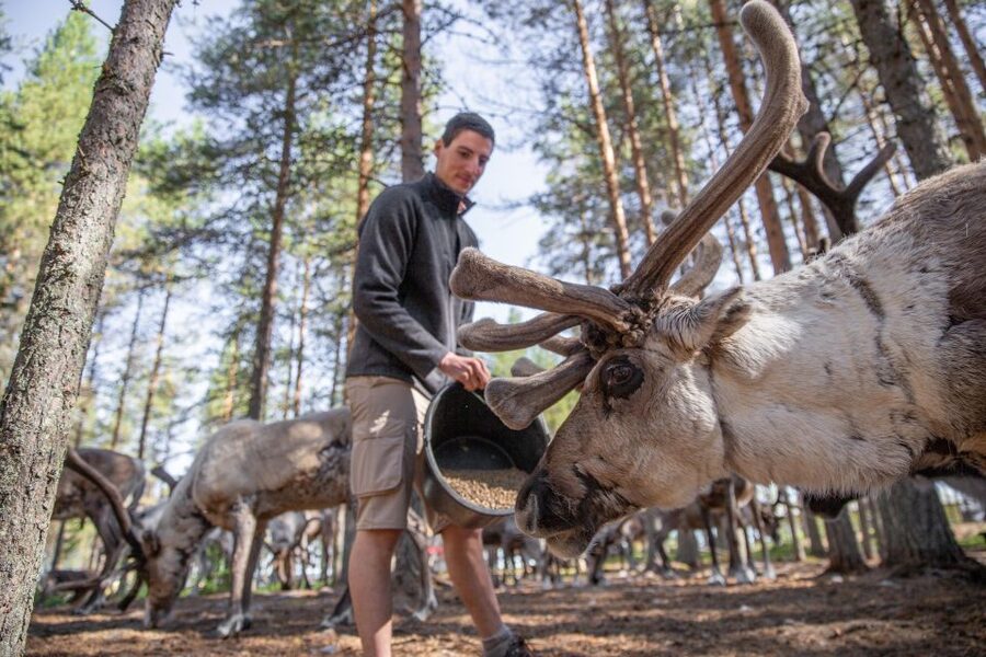 Rovaniemi: Authentic Reindeer Farm & Canoeing - Small-group size and guides that keep things human