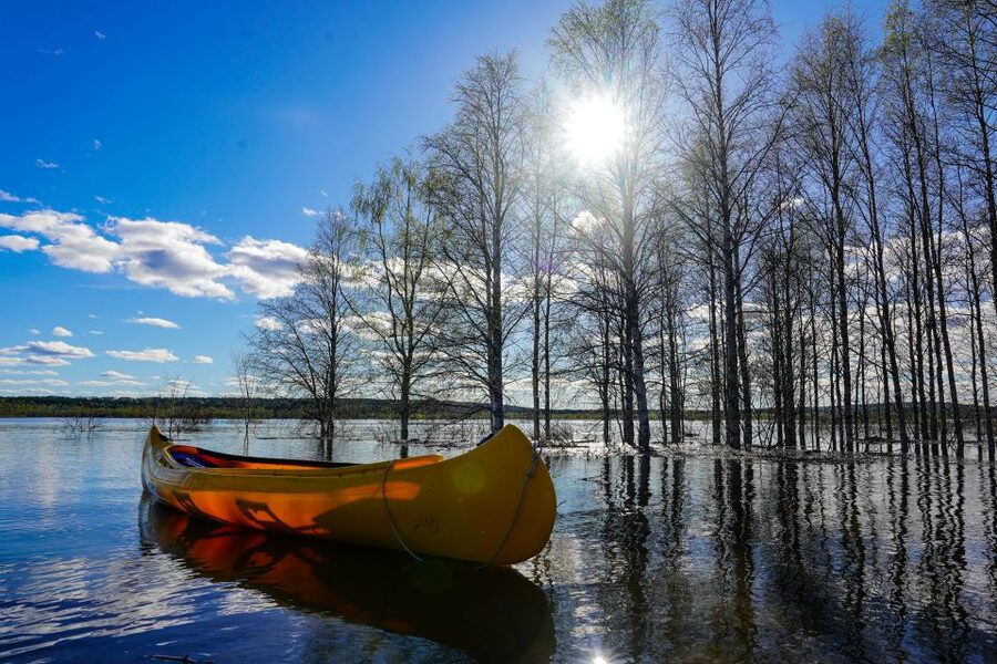 Rovaniemi: Authentic Reindeer Farm & Canoeing - How the 4-hour timing usually feels