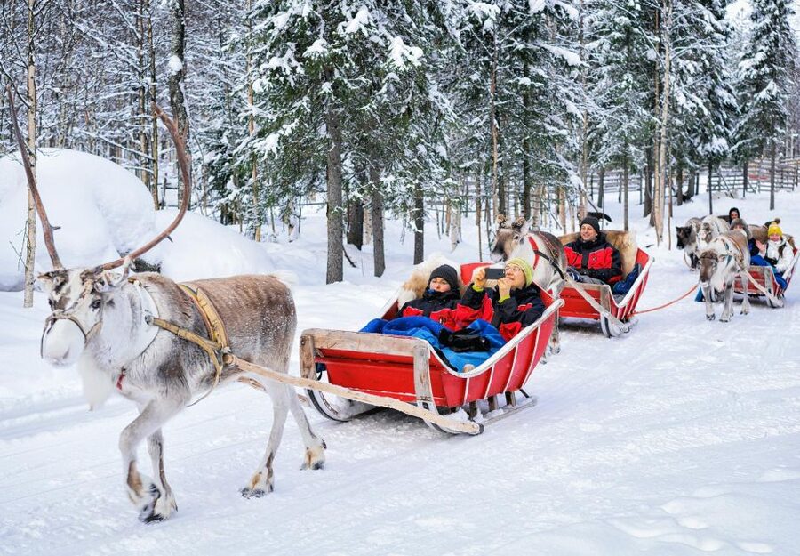 Rovaniemi: Authentic Reindeer Farm Visit & Short Sleigh Ride - Feeding Reindeer Friends: The Hands-On Part You’ll Remember