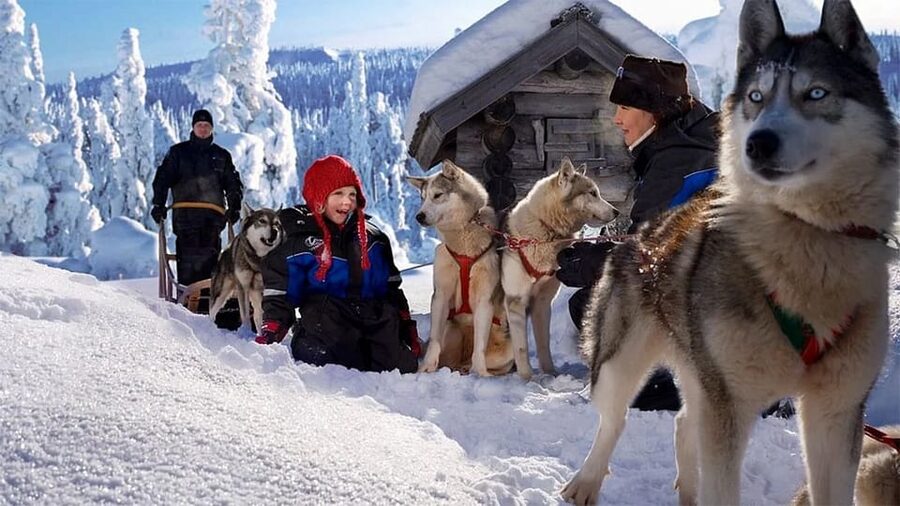 Rovaniemi: Family Friendly Husky Ride and Farm Visit - Rovaniemi Husky Farm Vibes: Where the Adventure Starts
