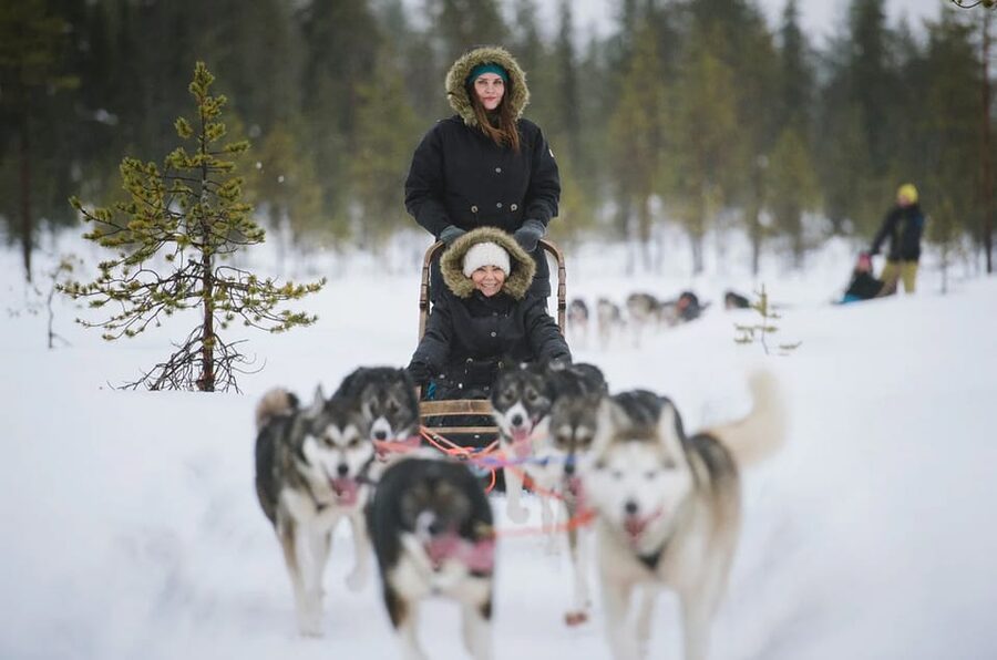 Rovaniemi: Family Friendly Husky Ride and Farm Visit - Logistics That Matter in Winter: Timing, Group Size, and Comfort