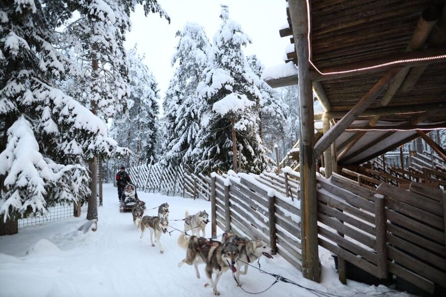 Rovaniemi: Husky and reindeer farm visit with sleigh rides - Hotel Pickup and a 4-Hour Plan That Doesn’t Feel Chaotic