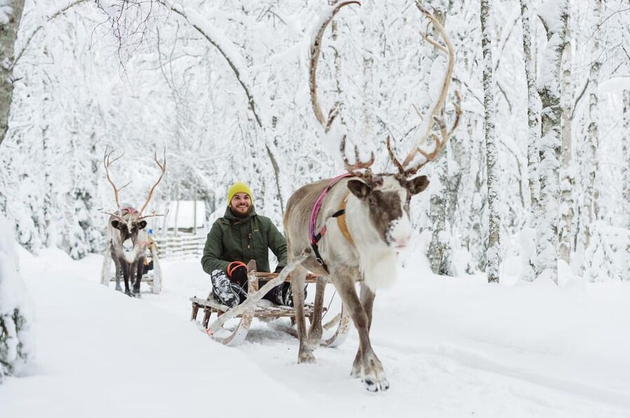 Rovaniemi: Husky and Reindeer farm with sleigh ride - The husky sled ride: about 800–1,000 meters of snowy fun