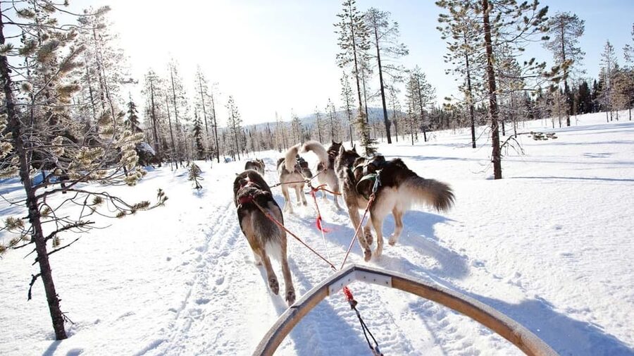Rovaniemi: Husky and Reindeer farm with sleigh ride - What to pack (so the cold doesn’t eat your fun)