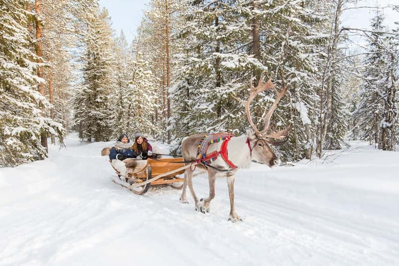 Rovaniemi: Husky Farm and Reindeer Experience - Who This Tour Fits Best in Your Lapland Plan
