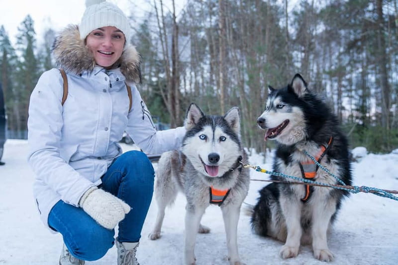 Rovaniemi: Husky Farm and Reindeer Experience - Reindeer Manor and the Herders: How Lapland Reindeer Life Works