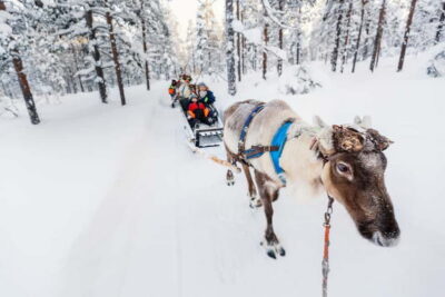 Rovaniemi: Husky Farm and Reindeer Experience - The 4-hour flow: reindeer herding, huskies, and Santa Village time