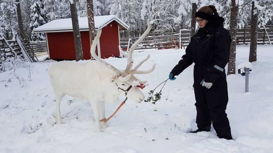 Rovaniemi: Husky Farm and Reindeer Experience - What’s Included: Gear, Food, and the Stuff You’ll Actually Use