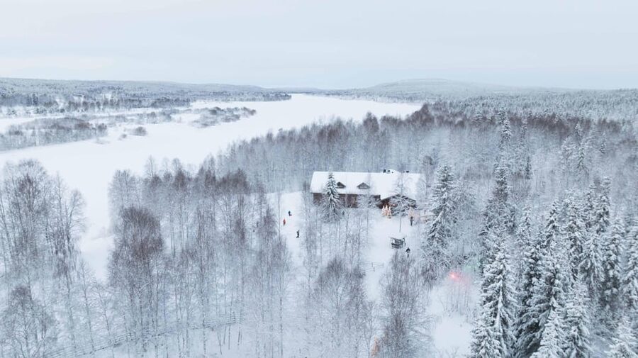 Rovaniemi: Husky Farm Visit with a Sledge Ride - What Can Affect Your Experience: Timing, Turn-Taking, and Dog Details