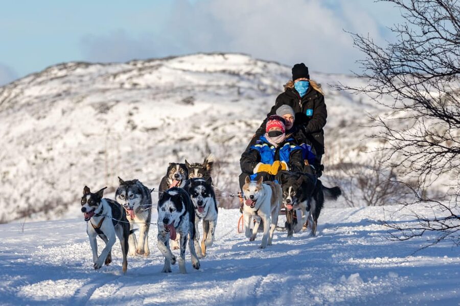 Rovaniemi: Husky Sled Ride and Farm Visit - Who This Tour Suits Best (And Who Might Want Something Longer)