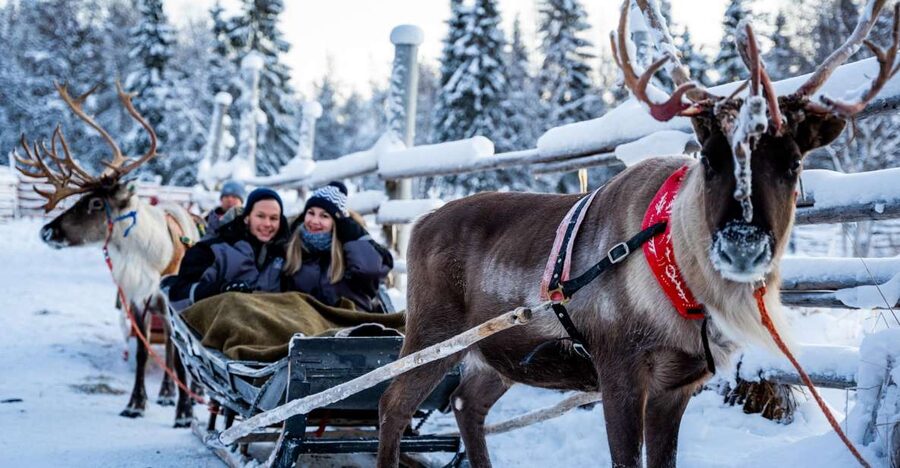 Rovaniemi: Local Reindeer Farm Visit with Sleigh Ride - Should you book this Rovaniemi reindeer farm tour?