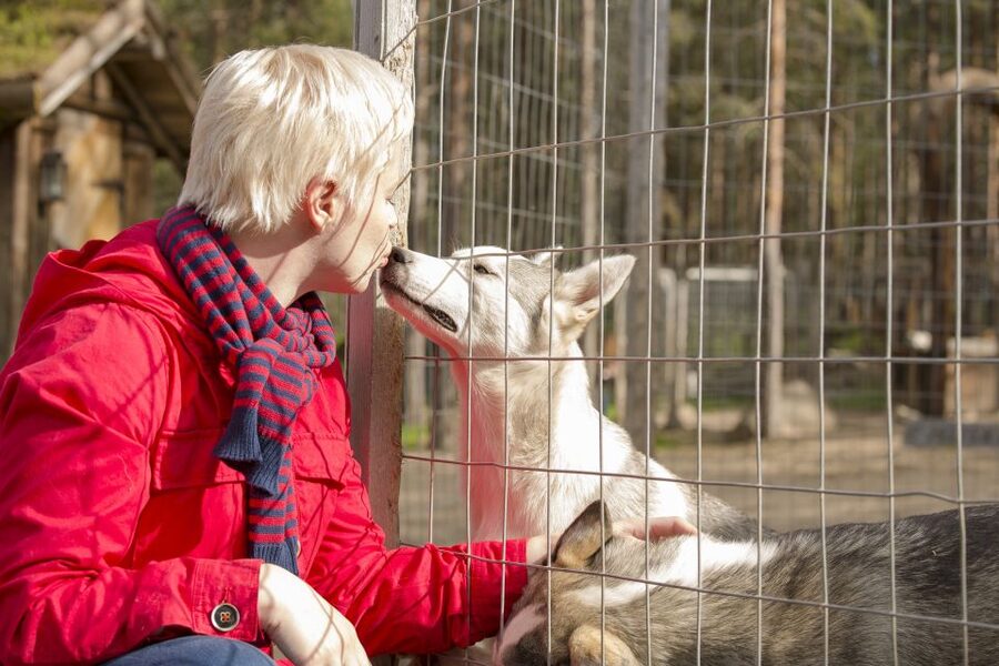 Rovaniemi: Quad Bike Safari, Reindeer & Husky Farm Visit - Meeting Your Guides and Getting Ready to Ride