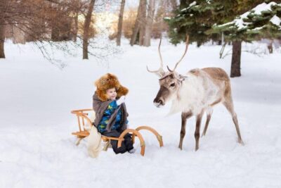Rovaniemi: Reindeer Farm Tour with Sledge Ride & Pickup - Arriving at an Old-Style Reindeer Farm in the Rovaniemi Area