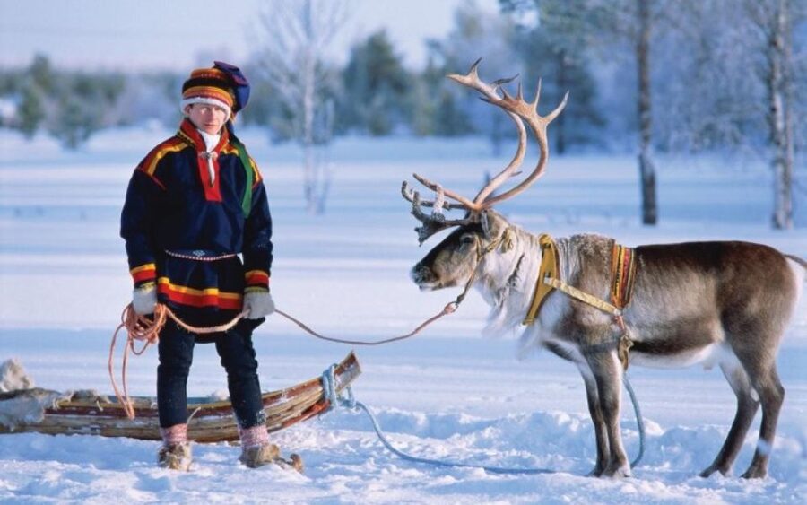 Rovaniemi: Reindeer Farm Tour with Sledge Ride & Pickup - Price and Value: Is $147 Worth It?