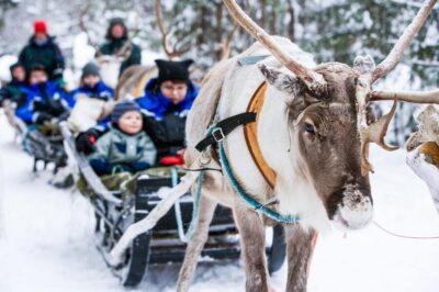 Rovaniemi: Reindeer Farm Visit and Sleigh Ride with transfer - The Sámi reindeer farm: what you’ll see and why feeding is the point