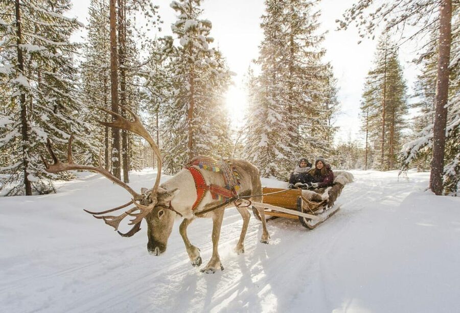 Rovaniemi: Reindeer Farm Visit and Sleigh Ride with transfer - Small risks to plan around (so you don’t feel rushed)