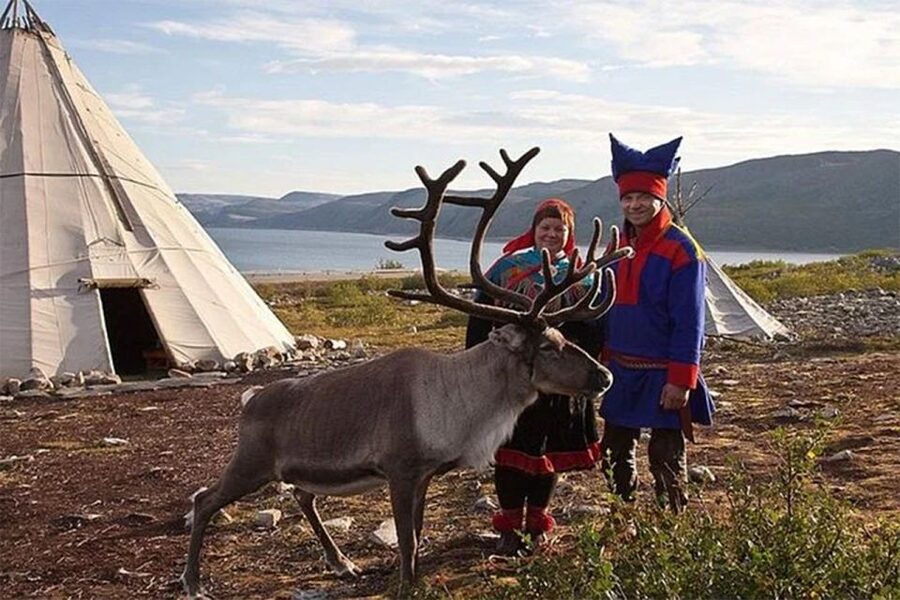 Rovaniemi: Reindeer Farm Visit in the Summer - Who This Reindeer Farm Visit Fits Best