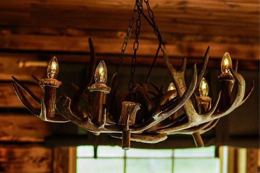 Rovaniemi: Reindeer Farm Visit in the Summer - The Guide and Language Setup: What You Can Expect