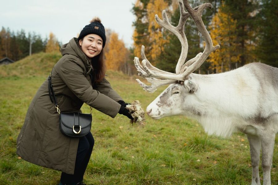 Rovaniemi: Reindeer Farm Visit with Photographer - Getting From Rovaniemi to the Farm Without Stress
