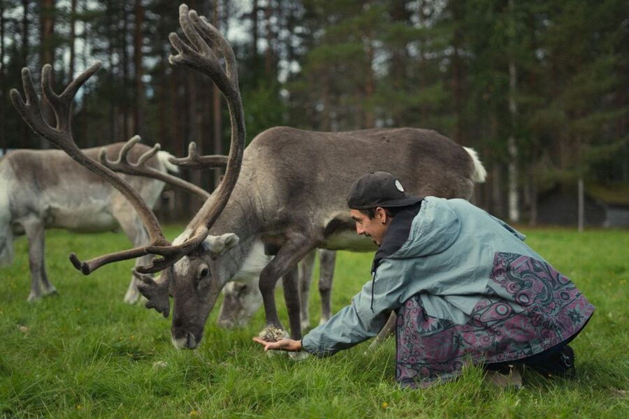 Rovaniemi: Reindeer Farm Visit with Photographer - Price and Value: Is $139 Worth It?