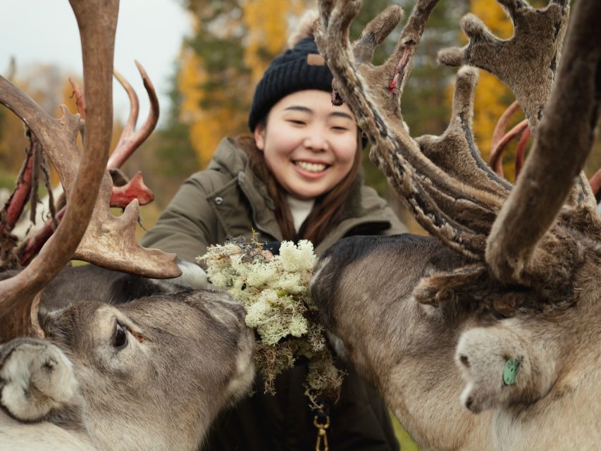 Rovaniemi: Reindeer Farm Visit with Photographer - Who Should Book This Reindeer Farm Photo Tour