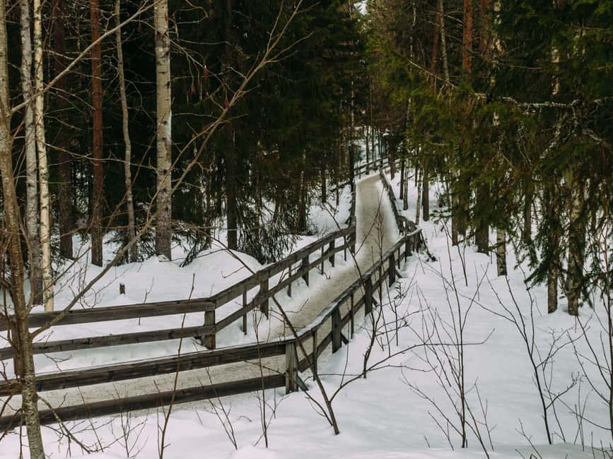 Rovaniemi: Reindeer Farm Visit with Sleigh Ride & Pickup - Pickup in Rovaniemi: the convenience factor you’ll feel immediately