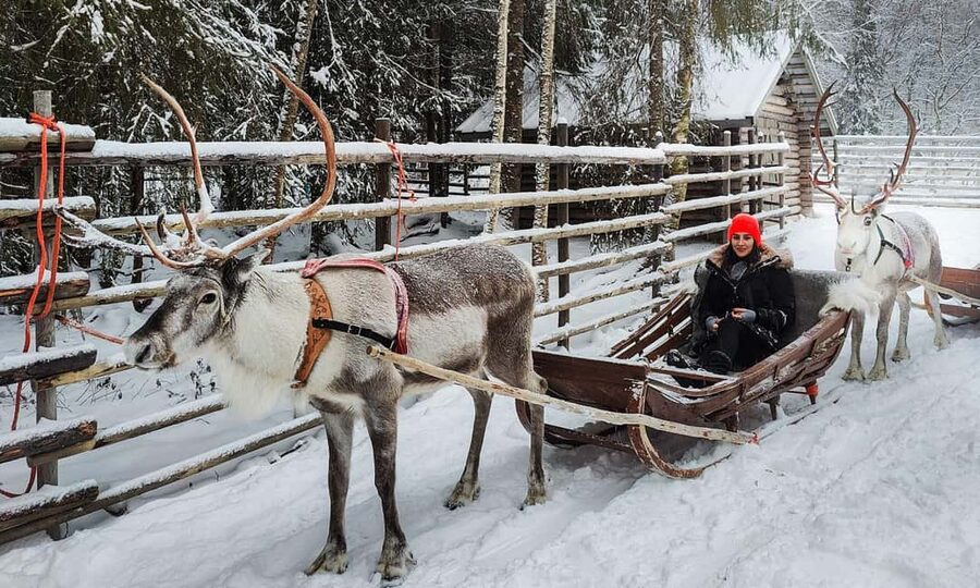 Rovaniemi: Reindeer Farm Visit with Sleigh Ride & Snacks - Warm Up in a Lappish Kota Hut: Snacks and Stories