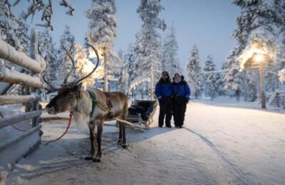 Rovaniemi: Reindeer Farm Visit with Sleigh Ride & Snacks - Meet the Herd: Feeding Reindeer and Learning the Sámi Connection